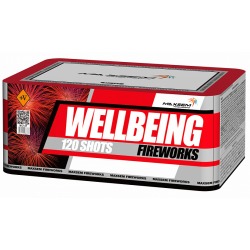 Wellbeing Fireworks (0.8" x 120)