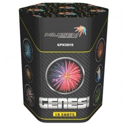 Дженеси / Genesi (1" x 19)