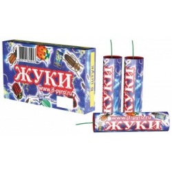 Жуки